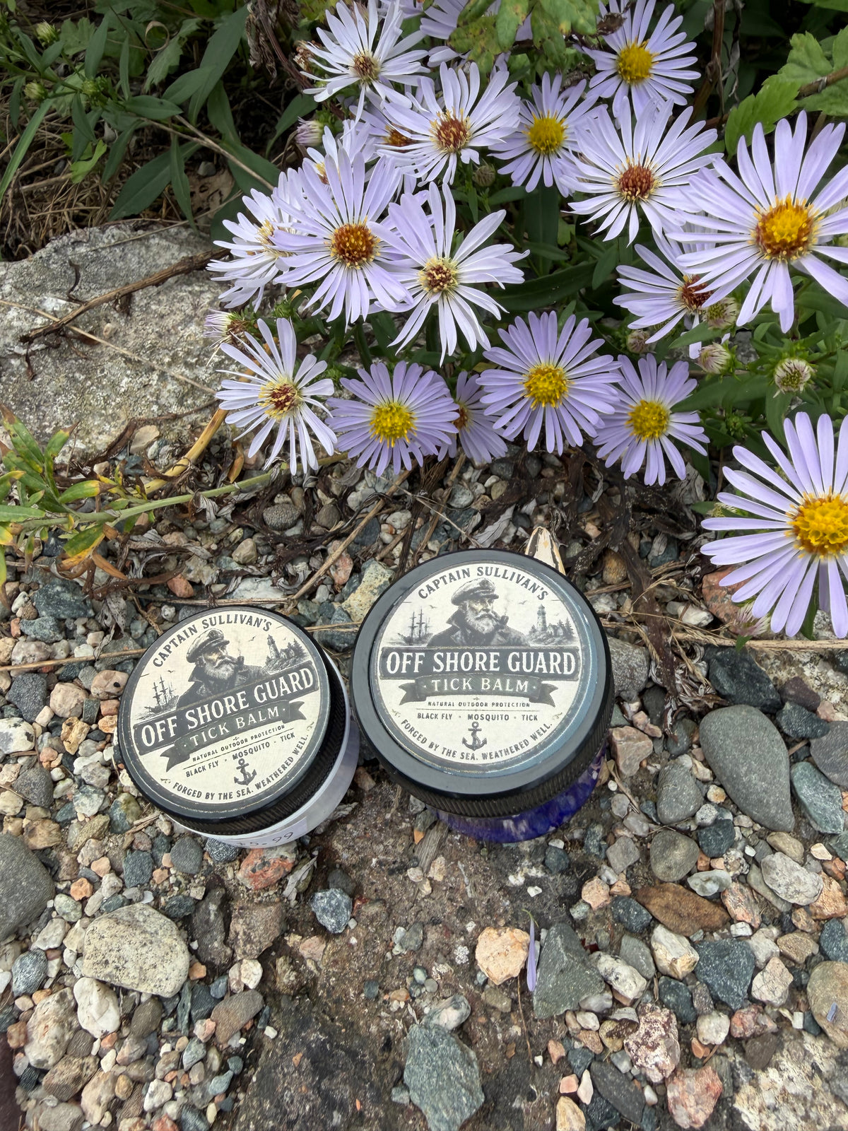 off shore guard tick balm